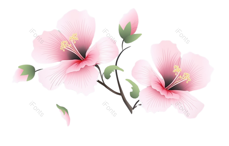 装饰图片,元素元素,插画PNG,粉红色的花免抠素材